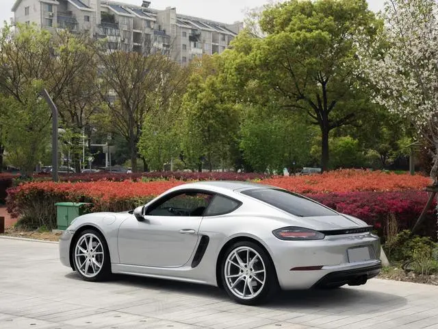 Porsche Porsche 718 Cayman 2.0T