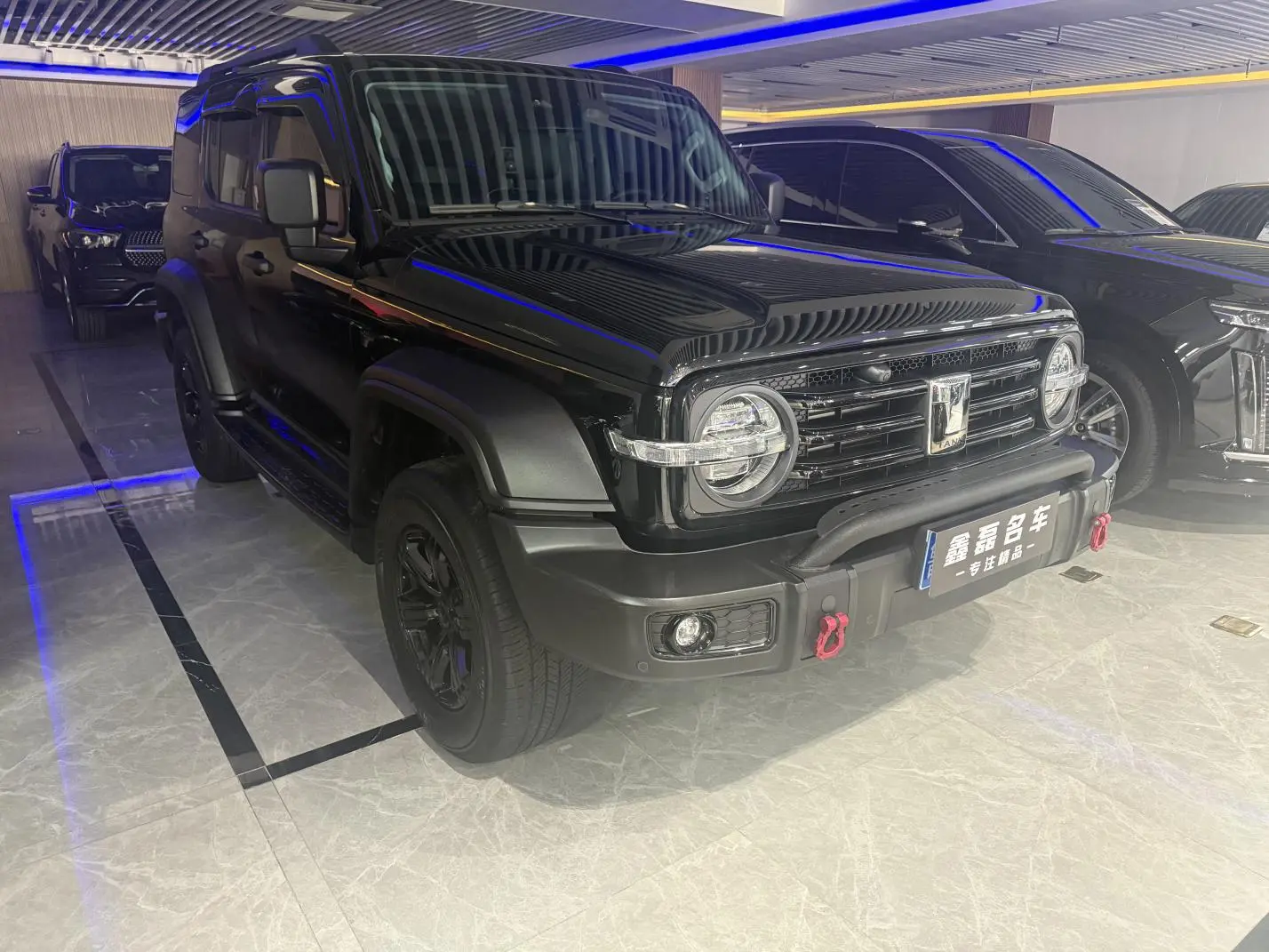 Tank Tank 300 Off-road version 2.0T Conqueror