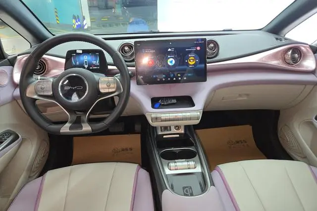 BYD dolphin Fashion edition