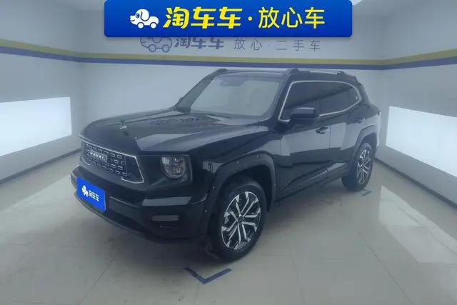 Haval Haval Big Dog PLUS 2.0T two-wheel drive Tide Wild edition Plus