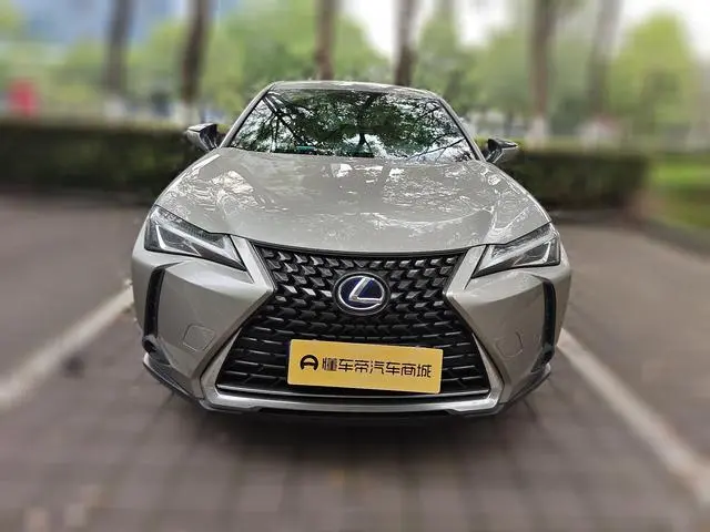 Lexus Lexus UX 260h Exploration*Cool Edition Country VI