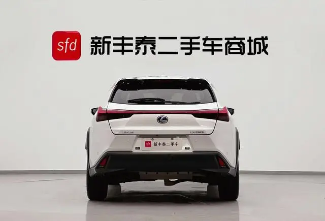 Lexus Lexus UX 260h Exploration*Cool Edition Country VI