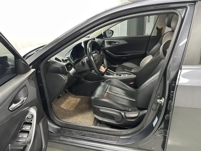 Hyundai Festa 280TGDi sports version Country VI