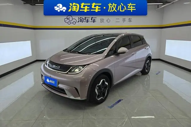 BYD dolphin Fashion edition