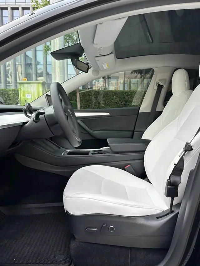 Tesla Model Y Performance high-performance all-wheel drive version