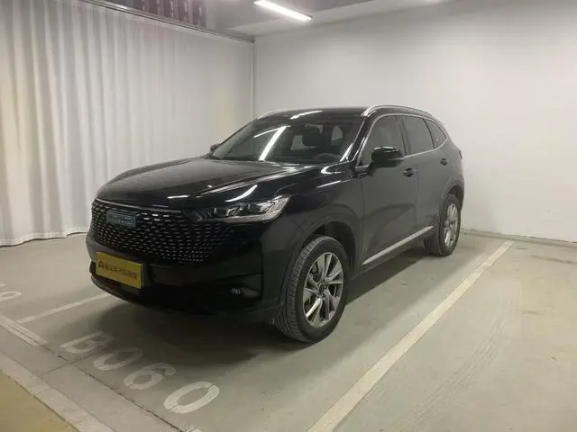 Haval Haval H6 PHEV 1.5T DHT-PHEV 110km smooth version