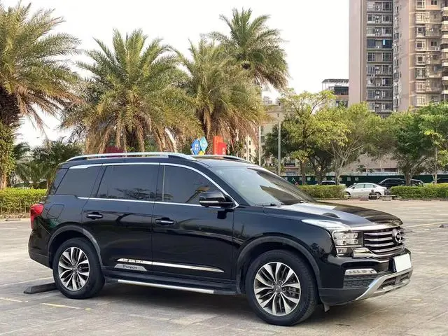GAC Trumpchi GS8 320T two-wheel drive luxury Zhilian Edition 7 seats