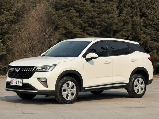 Wuling Wuling Xingchi 1.5L manual free type