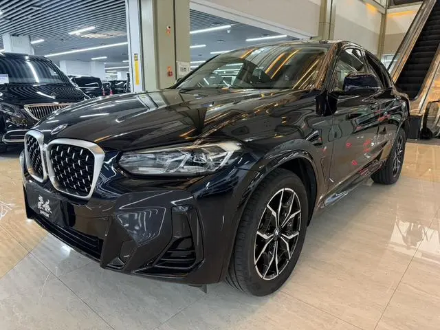 BMW BMW X4 xDrive 25i M sports suit