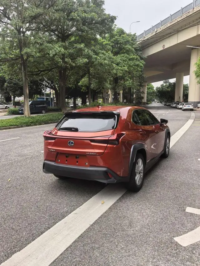 Lexus Lexus UX 260h Exploration*Cool Edition Country VI