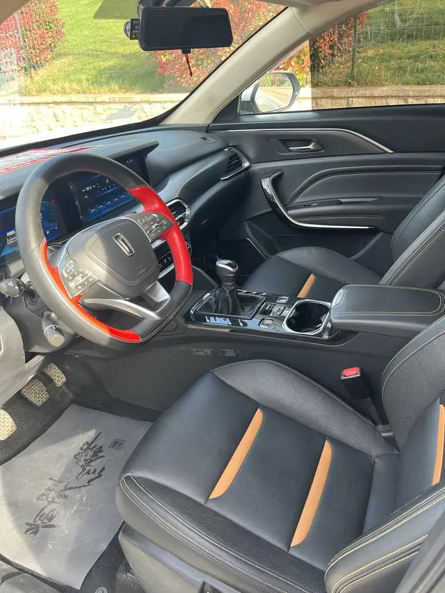 FAW Pentium T77 230 TID manual luxury Country V