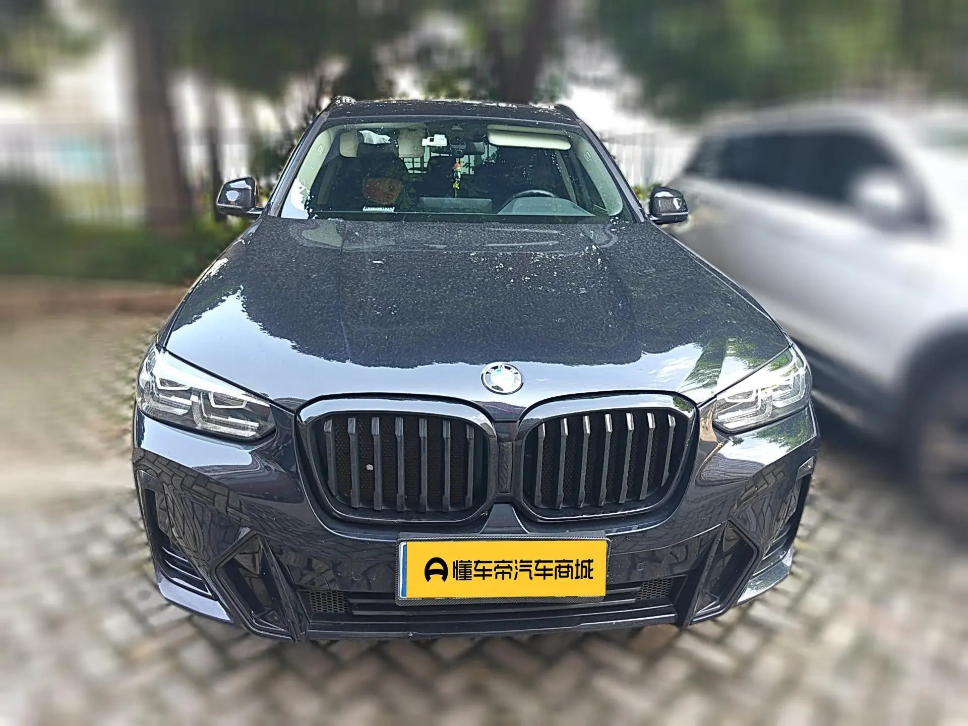 BMW BMW X3 xDrive30i Leading M Yao Ye Set