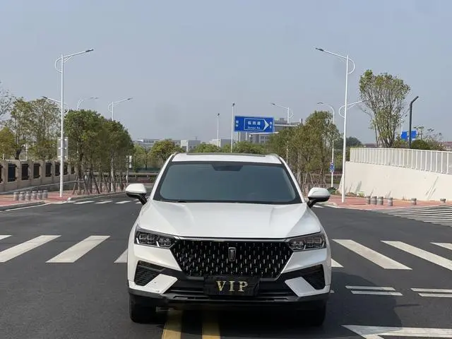 FAW Pentium T77 230 TID automatic luxury country VI