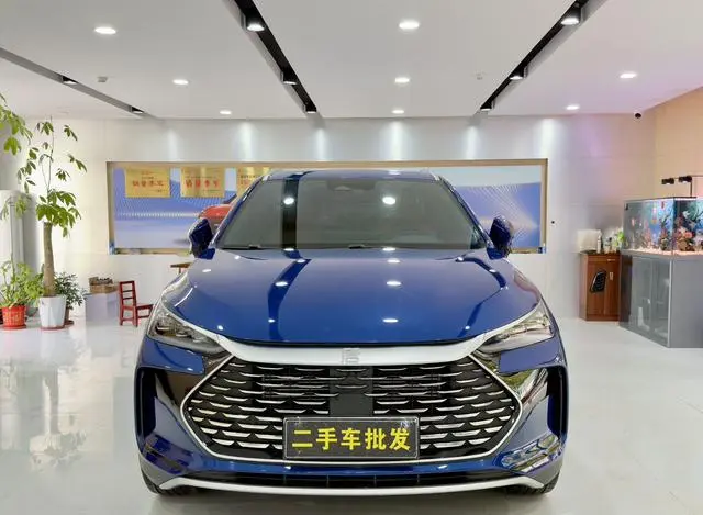 BYD Tang DM DM-p 215KM four-wheel drive flagship type