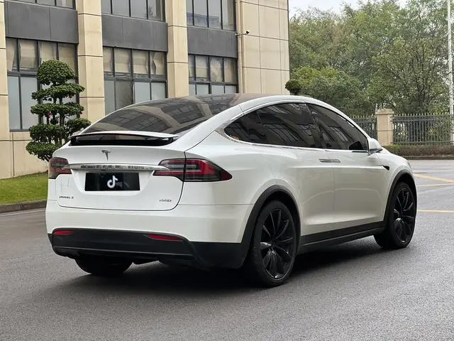 Tesla Model X 100D long battery life version