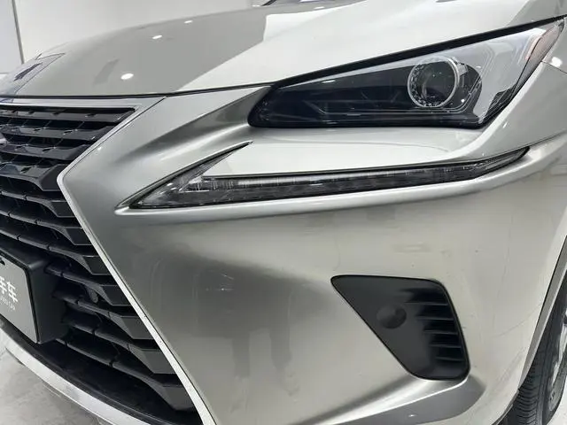 Lexus Lexus NX 300h front drive Fengshang version Country V