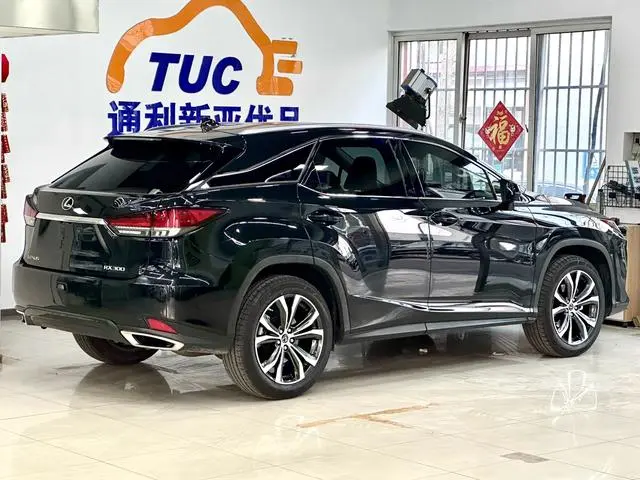 Lexus Lexus RX 300 four-wheel drive Special Edition