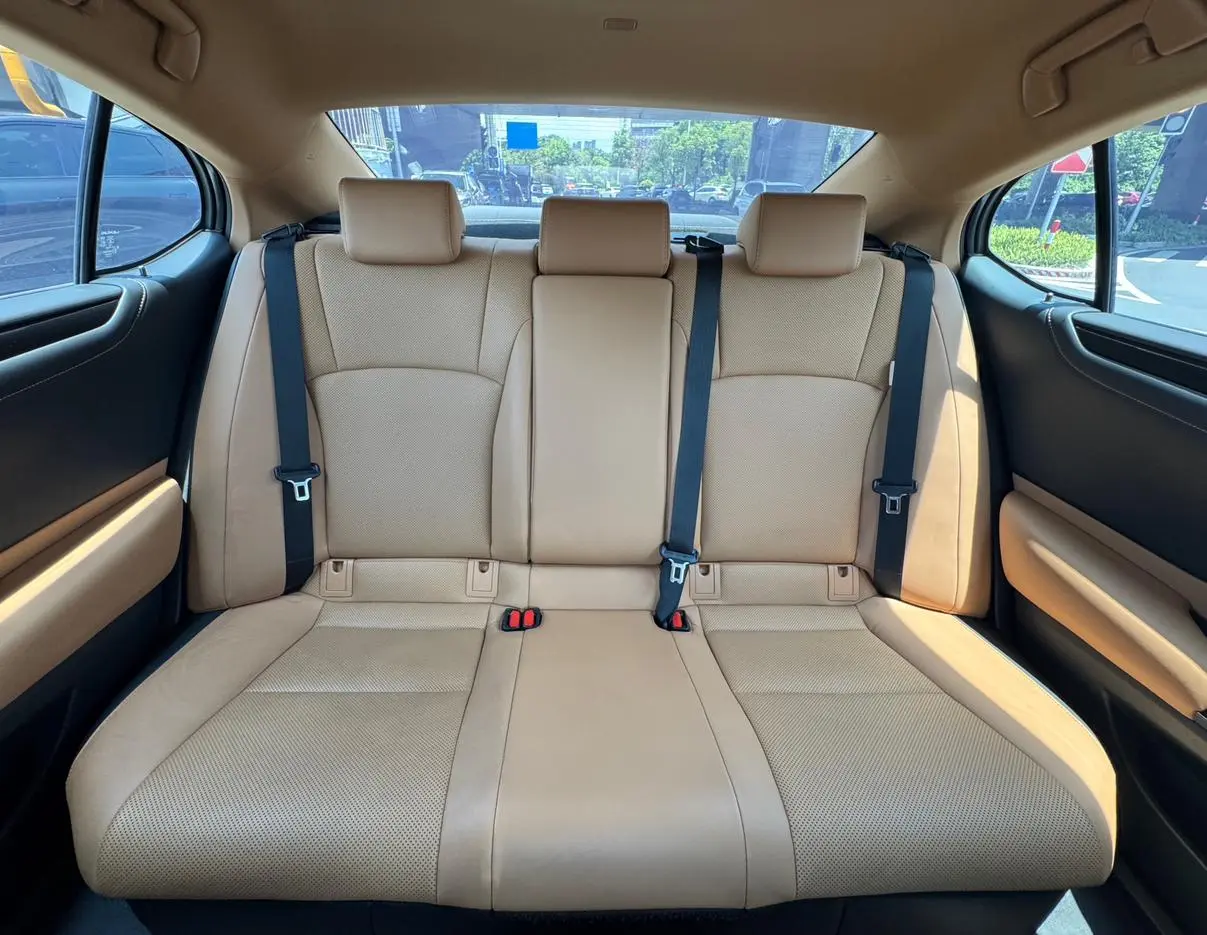 Lexus Lexus ES 300h Excellent Edition