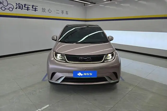 BYD dolphin Fashion edition