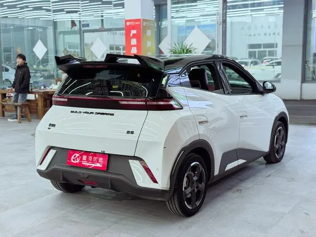 BYD Seagull Flying Version