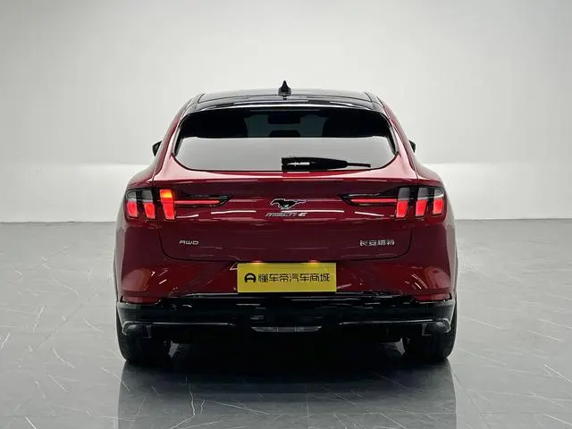 Ford Ford electric Horse GT