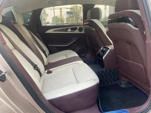 Hongqi Hongqi H9 3.0T Zhilian Qichang Version