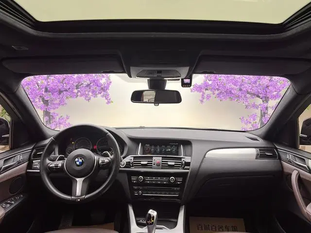 BMW BMW X4 xDrive20i M sporty