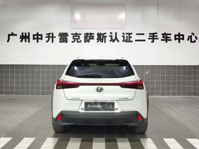 Lexus Lexus UX 260h Exploration*Cool Edition Country VI
