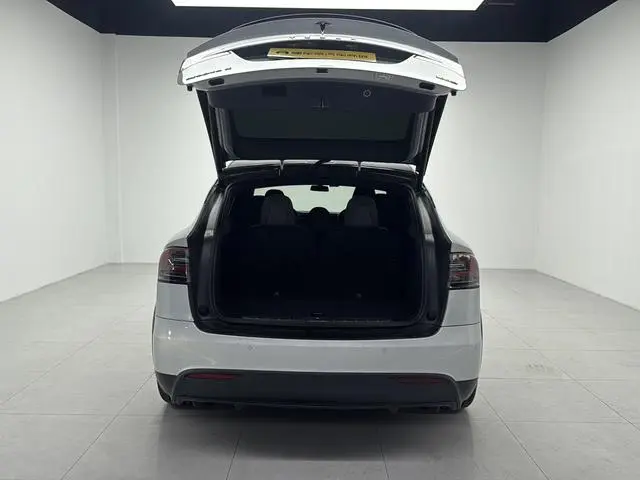 Tesla Model X 100D long battery life version