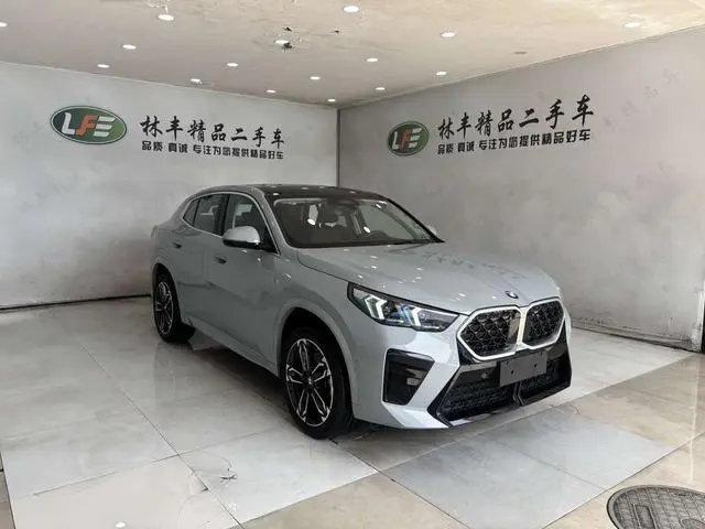 BMW BMW X2 (imported) sDrive25i M sports suit