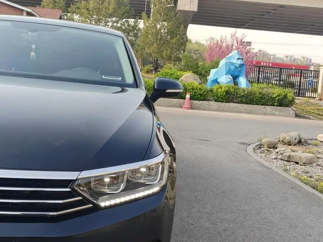 Volkswagen Magotan 330TSI DSG luxury Country V