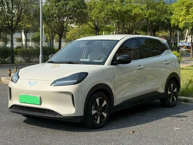 Wuling Wuling Bingguo PLUS 330km five-seater version