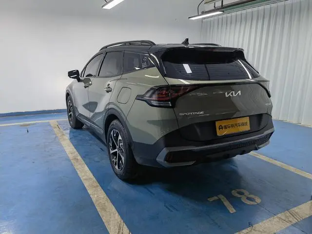 Kia Lion Platinum expands the world 1.5T two-wheel drive Premium edition