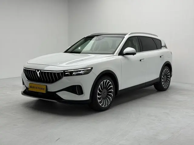 VOYAH Lan Tu FREE Four-wheel drive standard range extension exclusive luxury set