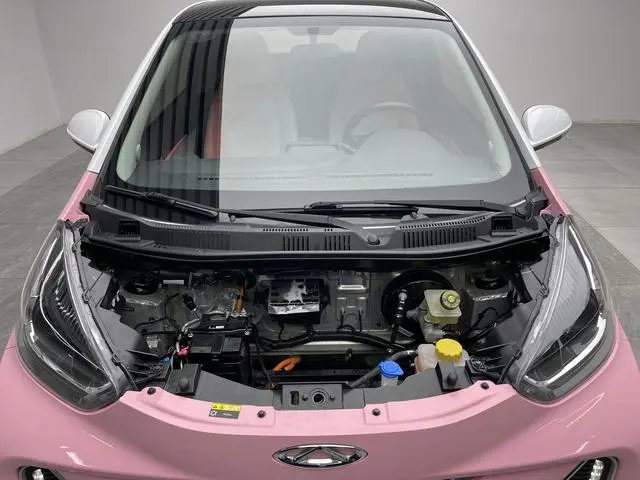 Chery Fulwin Little ant True Love Lithium Iron Phosphate 25.05 kWh 251km