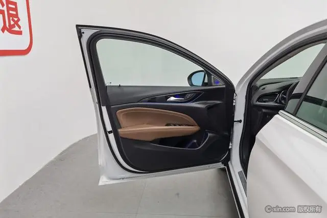 Buick Regal 20T Elite Country VI
