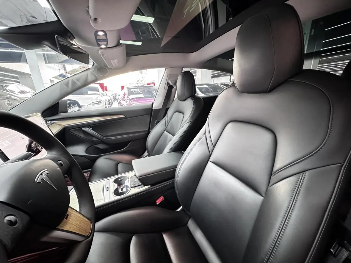 Tesla Model 3 Rear-wheel drive version
