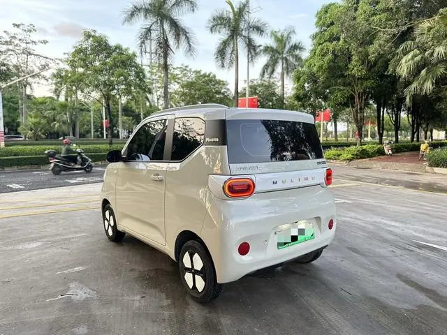 Wuling Wuling Hongguang MINIEV 215km Advanced Version Lithium Iron Phosphate