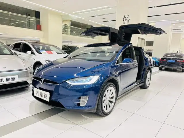 Tesla Model X 100D long battery life version
