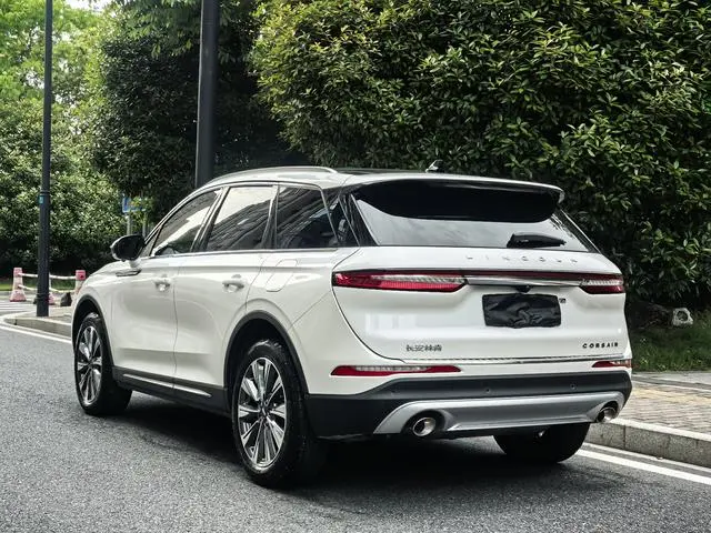 Lincoln Adventurer 2.0T two-wheel drive Zunya edition