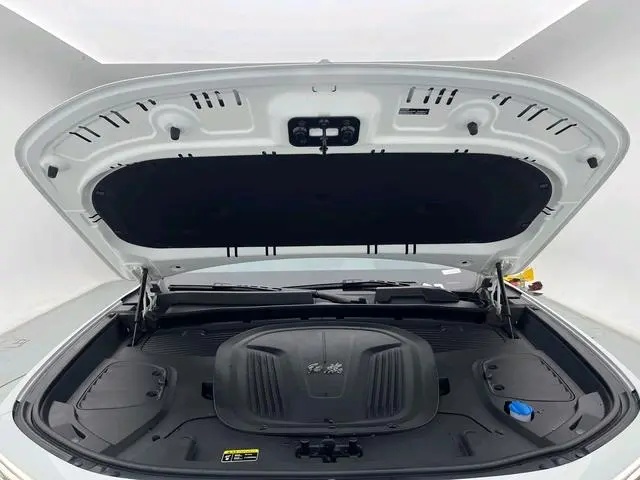 Hongqi Hongqi E-HS9 Facelift 660km flag collar version four-seater