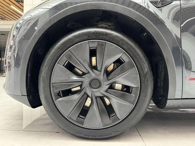 Tesla Model Y Rear-wheel drive version
