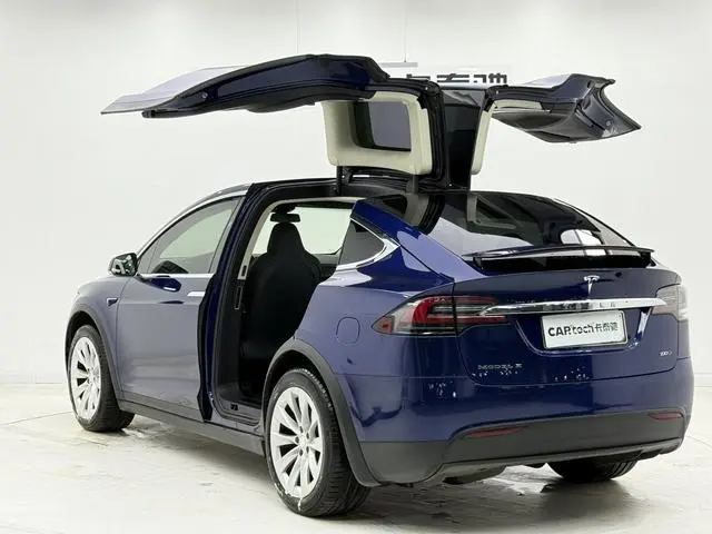 Tesla Model X 100D long battery life version