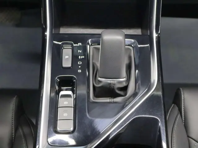 Wuling Wuling Xingchen 2.0L DHT electric speed model