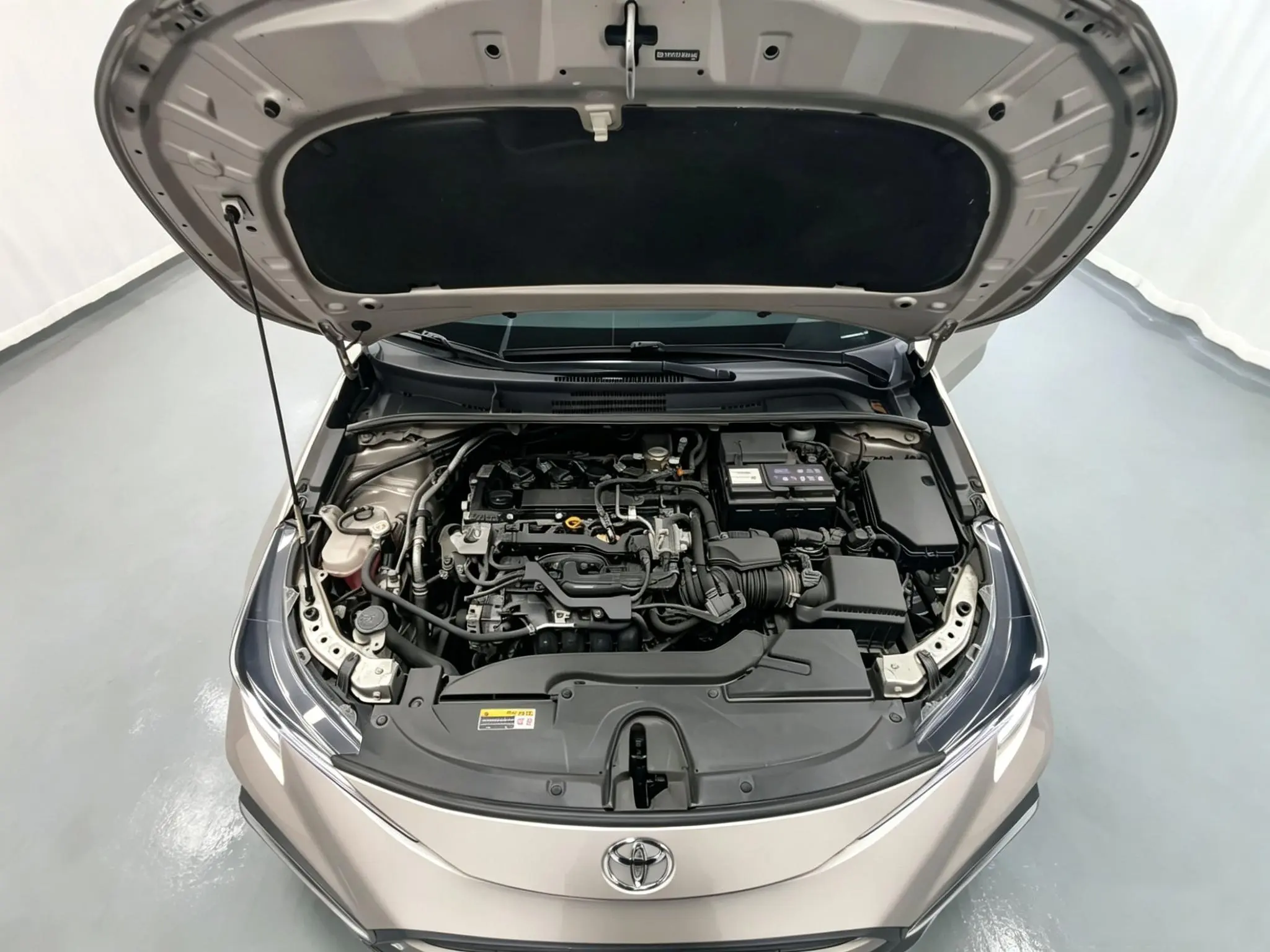 TOYOTA Ling Shang 2.0L Leading version
