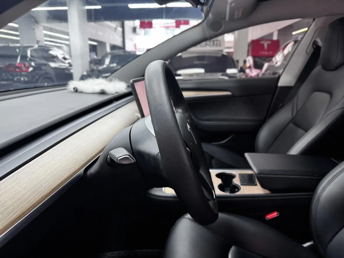 Tesla Model 3 Rear-wheel drive version