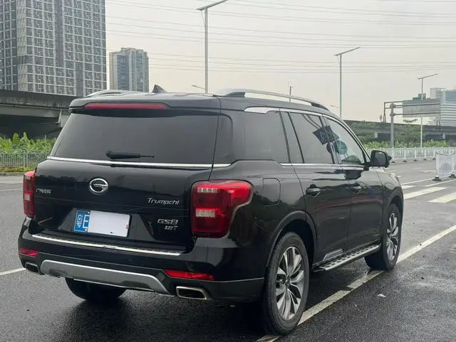 GAC Trumpchi GS8 320T two-wheel drive luxury Zhilian Edition 7 seats