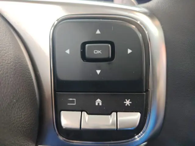 Tank Tank 300 Off-road version 2.0T Conqueror