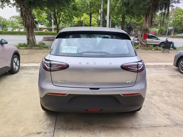 Geely Galaxy Star Wish 310km Dream Edition