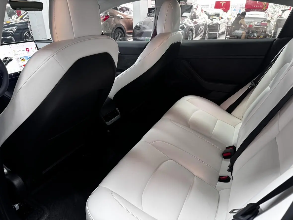 Tesla Model 3 Standard battery life rear drive upgraded version 3D6